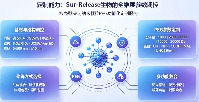 核壳SiO₂纳米颗粒定制设计——Sur-Release生物技术服务