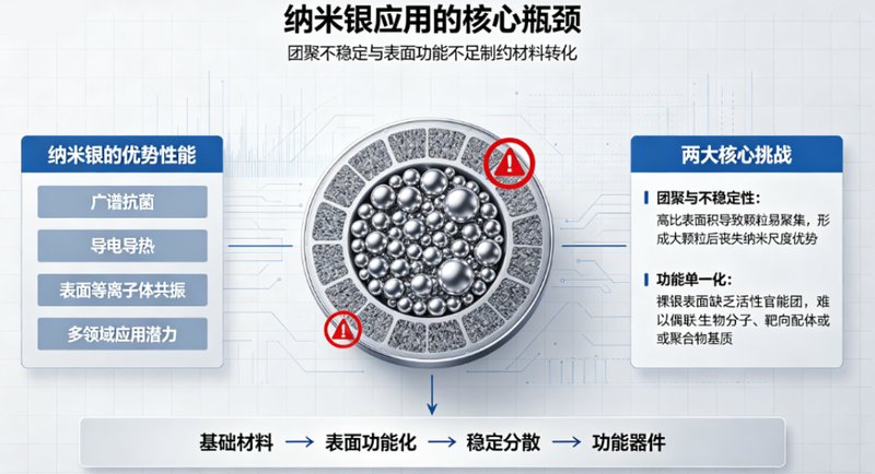 PEI@Ag纳米材料功能化定制——Sur-Release生物技术服务