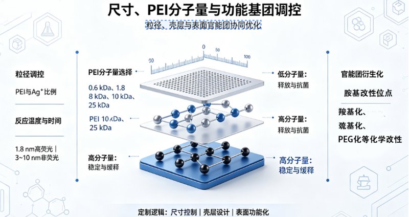 PEI@Ag纳米材料功能化定制——Sur-Release生物技术服务