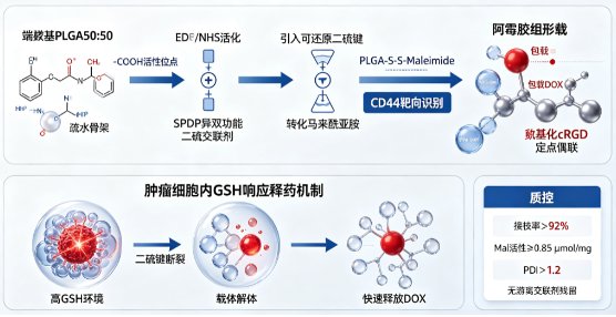 多种分子-S-S-Maleimide定制合成技术——氧化还原响应型生物偶联体系构建方案