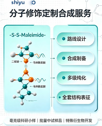 多种分子-S-S-Maleimide定制合成技术——氧化还原响应型生物偶联体系构建方案