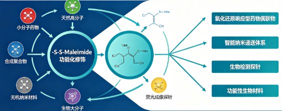 多种分子-S-S-Maleimide定制合成技术——氧化还原响应型生物偶联体系构建方案