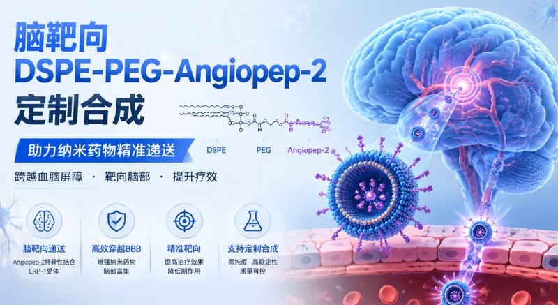 脑靶向DSPE-PEG-Angiopep-2定制合成｜助力纳米药物精准递送