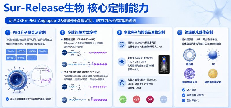 脑靶向DSPE-PEG-Angiopep-2定制合成｜助力纳米药物精准递送