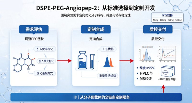 脑靶向DSPE-PEG-Angiopep-2定制合成｜助力纳米药物精准递送