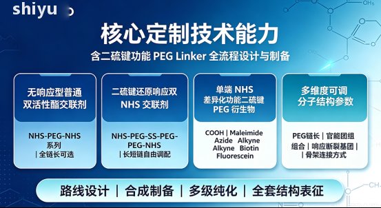 NHS-PEG1-SS-PEG1-NHS及其类似物定制合成技术平台——Sur-Release生物技术服务