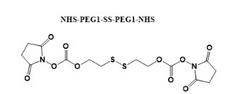 NHS-PEG1-SS-PEG1-NHS及其类似物定制合成技术平台——Sur-Release生物技术服务