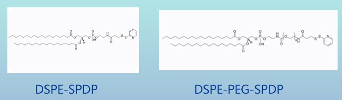 DOPE/DSPE-SPDP活化磷脂定制技术---SPDP/PEG功能脂质开发平台（Sur-Release生物技术服务