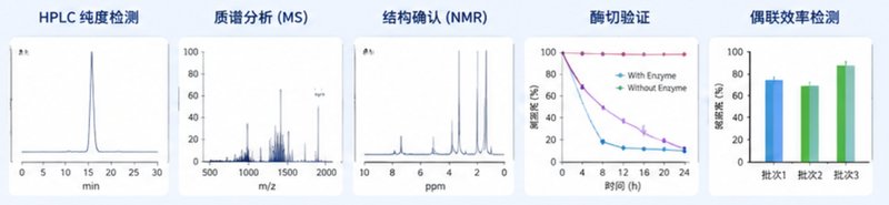 ADC药物连接子（Linker）定制合成｜多类型响应机制助力抗体偶联药物开发