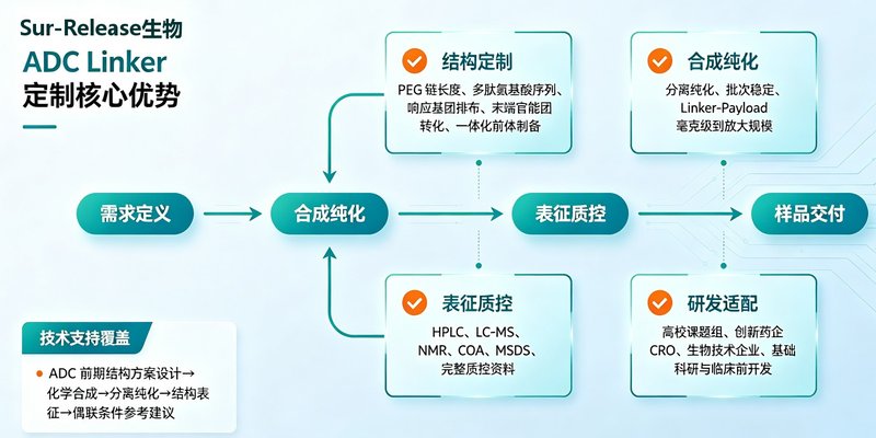 ADC药物连接子（Linker）定制合成｜多类型响应机制助力抗体偶联药物开发
