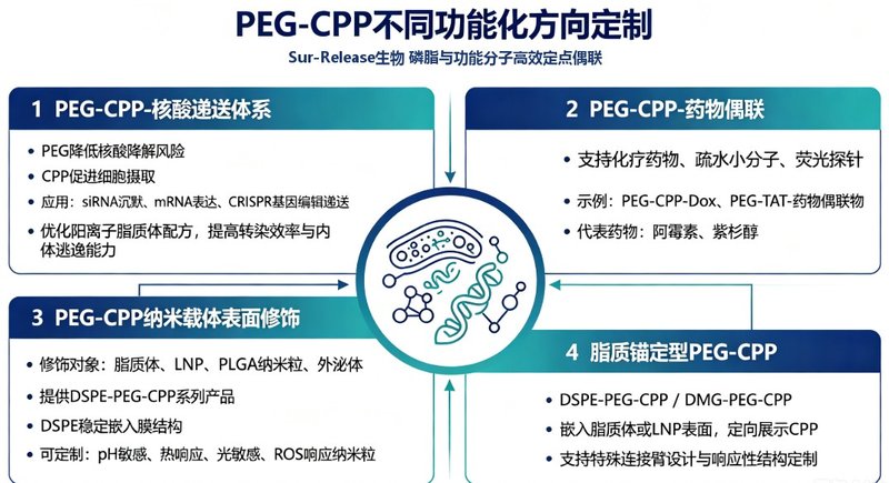 PEG修饰细胞穿膜肽(CPP)定制合成|提升纳米载体细胞摄取与内吞逃逸