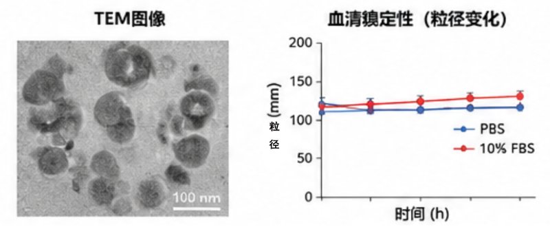 PEG修饰细胞穿膜肽(CPP)定制合成|提升纳米载体细胞摄取与内吞逃逸