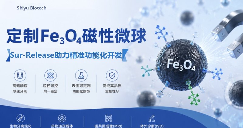 定制Fe₃O₄磁性微球，Sur-Release生物技术服务助力精准功能化开发