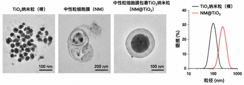基于Click化学的中空纳米材料功能化定制方案