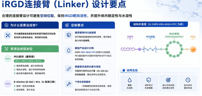 iRGD靶向多肽的荧光标记定制：从设计到合成的全流程服务