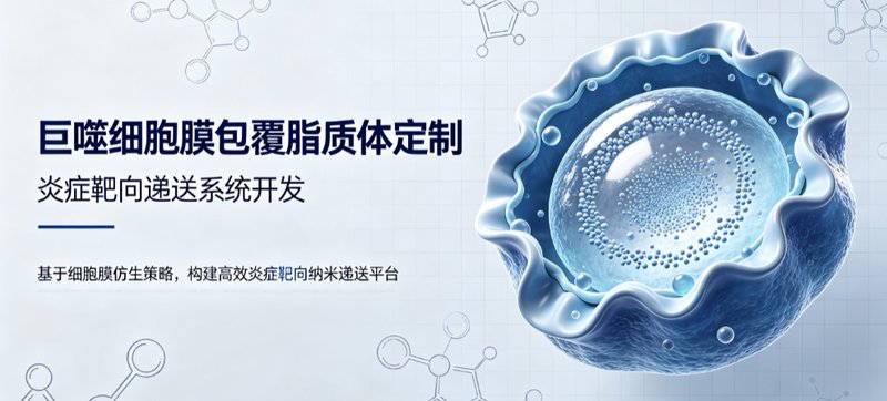 巨噬细胞膜包覆纳米脂质体定制|助力炎症微环境靶向递送研究