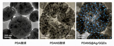PEG功能化石墨烯量子点（PEG-GQDs）定制开发：实现粒径、表面官能团与荧光特性的精准调控