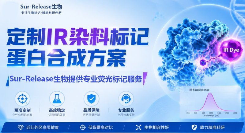 定制IR染料标记蛋白合成方案,Sur-Release生物技术服务