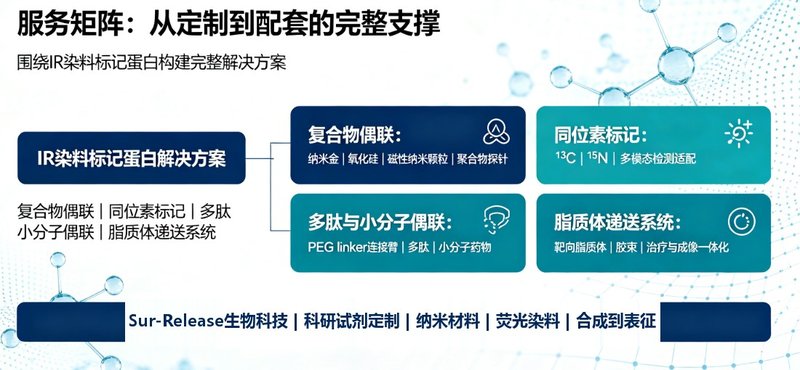 定制IR染料标记蛋白合成方案,Sur-Release生物技术服务