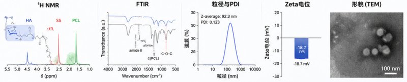 透明质酸改性胶束设计与定制合成，实现受体介导靶向输送