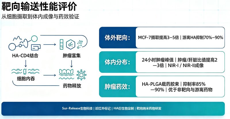 透明质酸改性胶束设计与定制合成，实现受体介导靶向输送