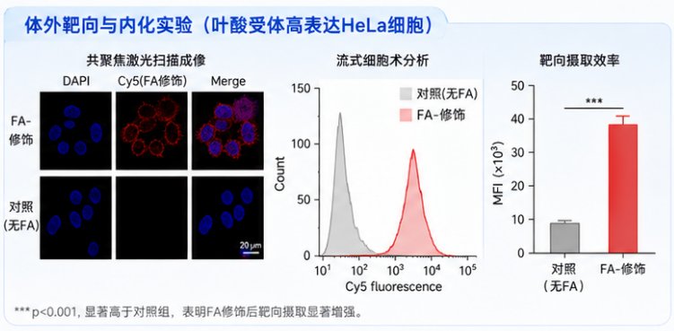 DBCO/TCO/N₃功能化分子设计与定制合成