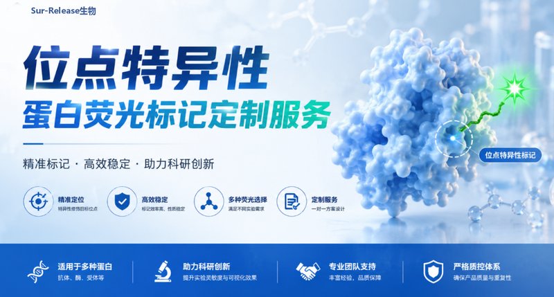 位点特异性蛋白荧光标记科研定制服务｜Sur-Release生物技术服务