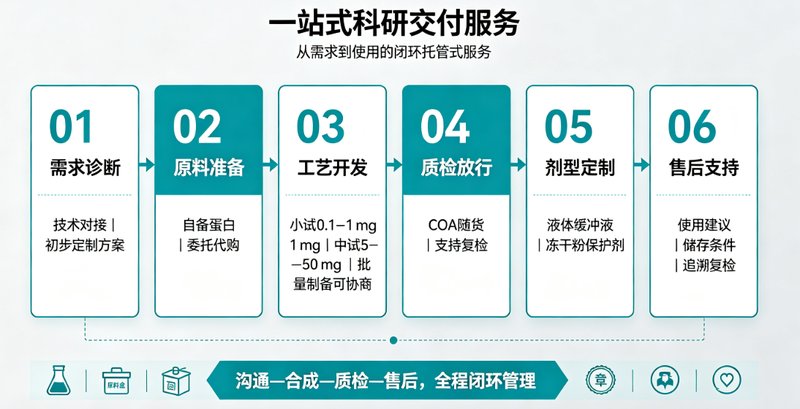位点特异性蛋白荧光标记科研定制服务｜Sur-Release生物技术服务