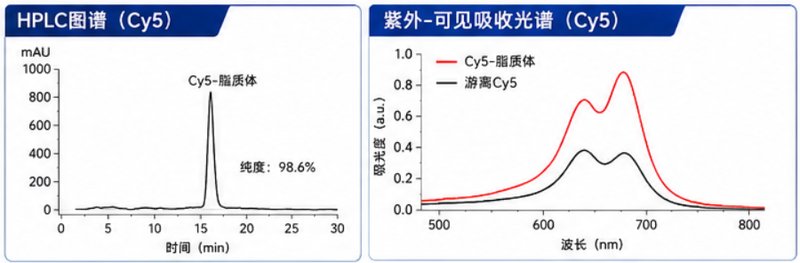 近红外荧光标记多肽定制｜活体成像解决方案