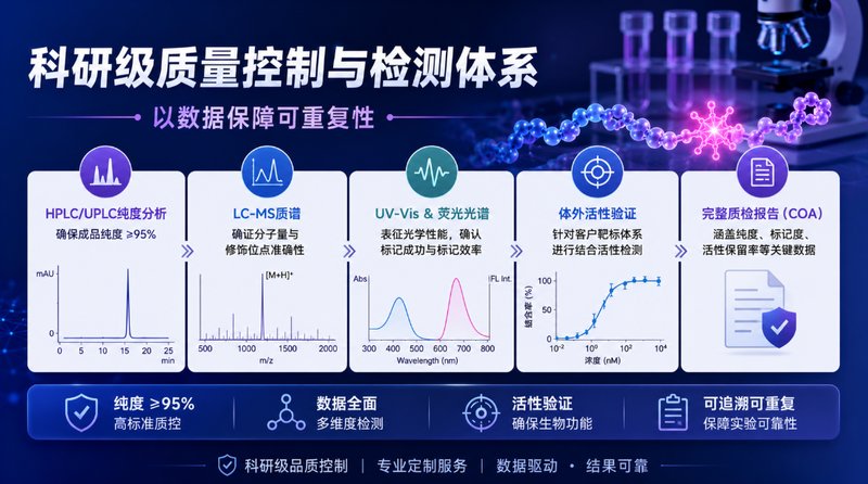 近红外荧光标记多肽定制｜活体成像解决方案