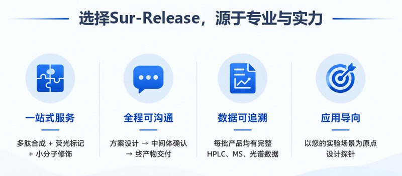 多肽与小分子荧光标记定制｜专业探针开发解决方案