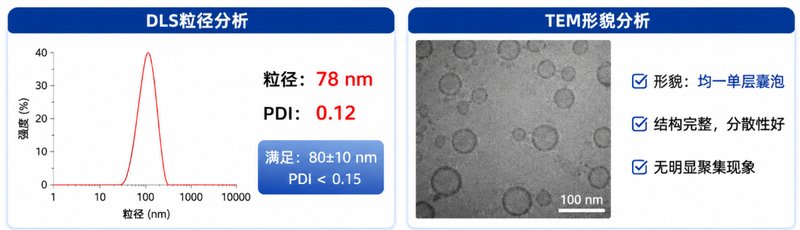 DMPC磷脂脂质体定制|空白、载药、靶向及荧光脂质体开发