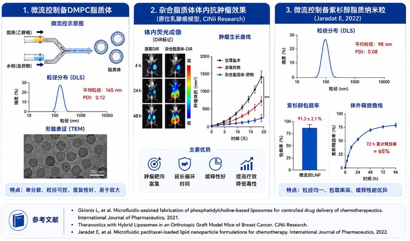 DMPC磷脂脂质体定制|空白、载药、靶向及荧光脂质体开发