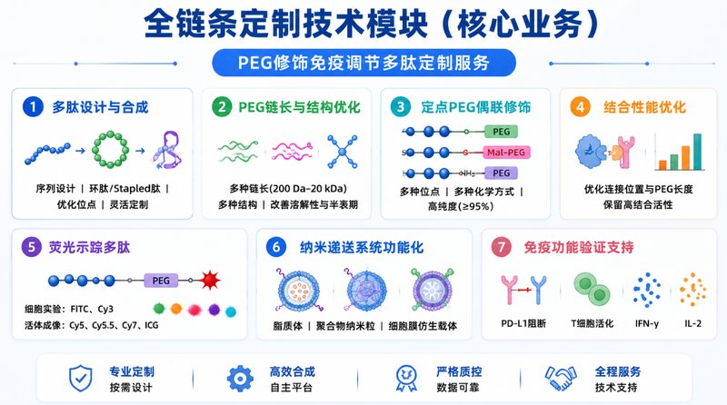 PEG修饰免疫调节多肽定制|助力PD-1/PD-L1靶向研究