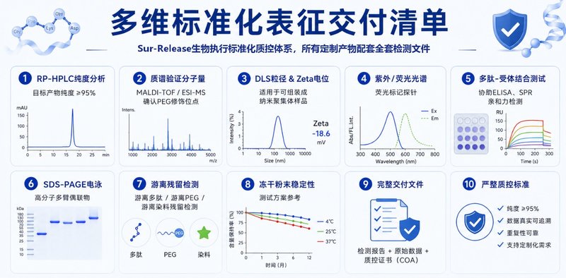 PEG修饰免疫调节多肽定制|助力PD-1/PD-L1靶向研究