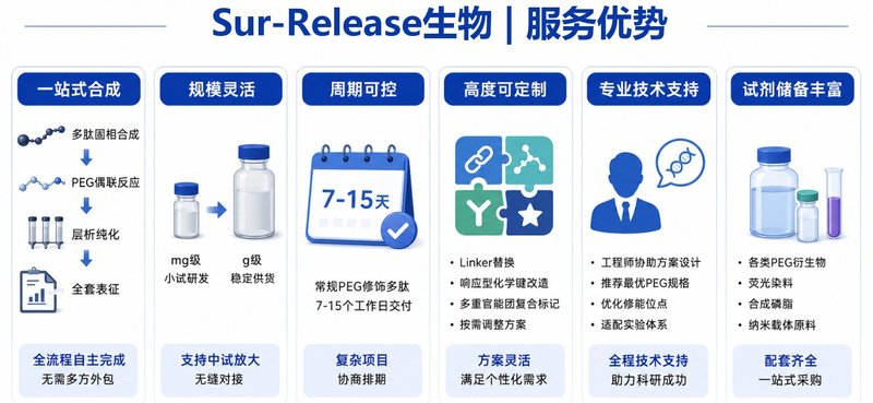 PEG修饰免疫调节多肽定制|助力PD-1/PD-L1靶向研究