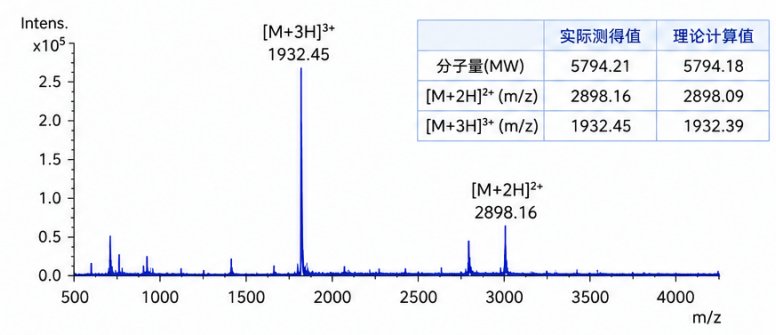 PEG修饰免疫调节多肽定制|助力PD-1/PD-L1靶向研究