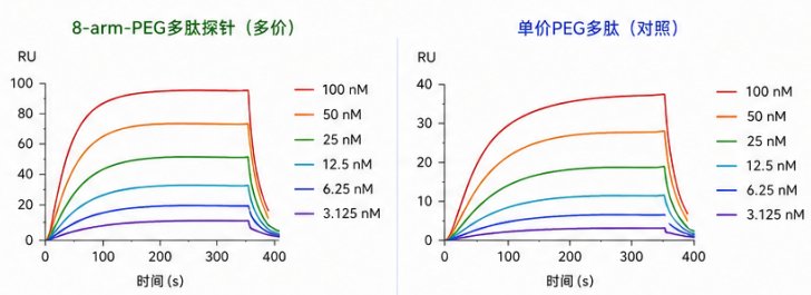 PEG修饰免疫调节多肽定制|助力PD-1/PD-L1靶向研究