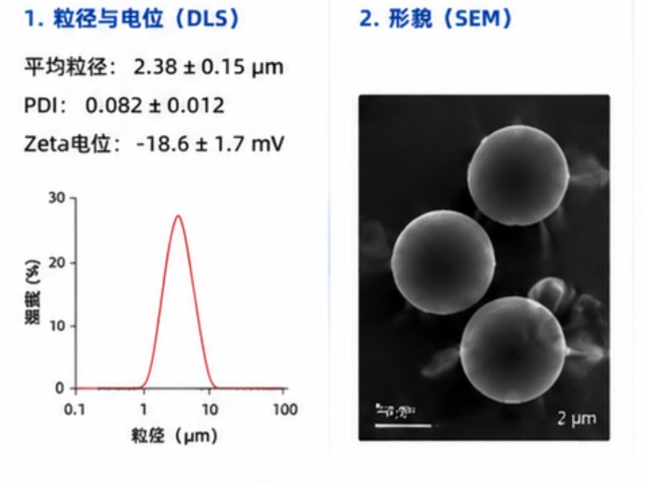靶向载药超声微泡定制｜打造成像辅助精准递送体系