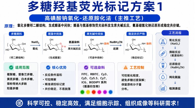 羟基多糖荧光化修饰定制|支持FITC/Cy系列标记设计