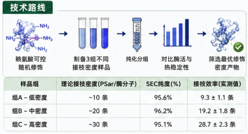 聚肌氨酸(PSARylation)蛋白修饰定制|多参数可控设计平台