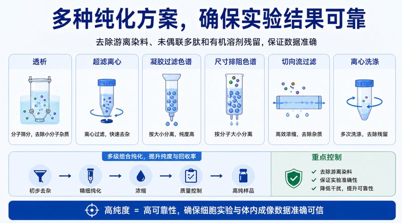 多肽偶联荧光脂质纳米粒定制｜靶向与示踪一体化