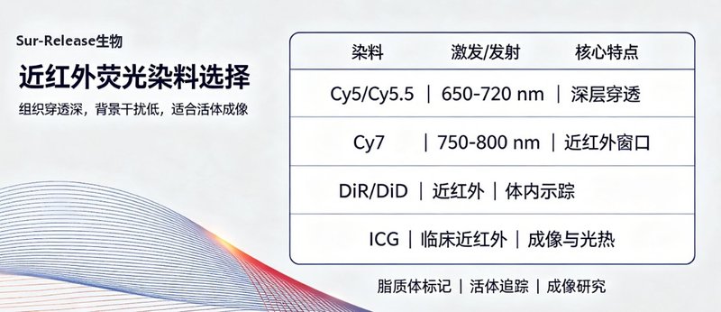 小分子药物荧光脂质体定制开发｜赋予药物递送系统实时成像能力