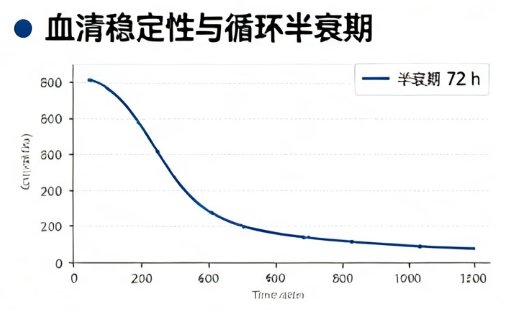 Fe₃O₄磁性纳米颗粒负载核酸定制｜实现DNA/siRNA/mRNA精准递送与调控