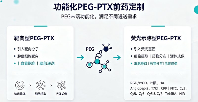 紫杉醇PEG化前药定制开发｜助力难溶性药物递送性能优化