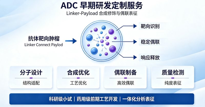 毒素/药物分子-ADC Linker偶联定制|构建精准抗体偶联药物开发方案