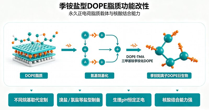 阳离子化DOPE脂质功能改性定制,核酸载体与递送系统开发