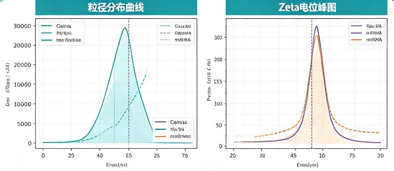 阳离子化DOPE脂质功能改性定制,核酸载体与递送系统开发