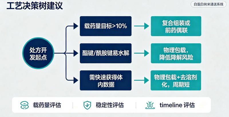 疏水性药物白蛋白纳米递送系统定制开发服务