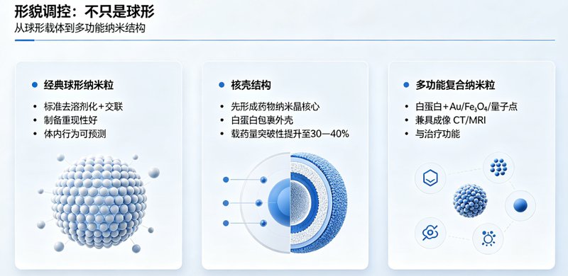 疏水性药物白蛋白纳米递送系统定制开发服务